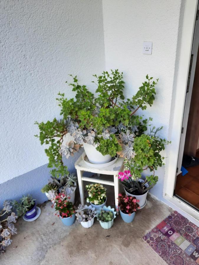 Apartmani Gracela Βόντιτσε Εξωτερικό φωτογραφία